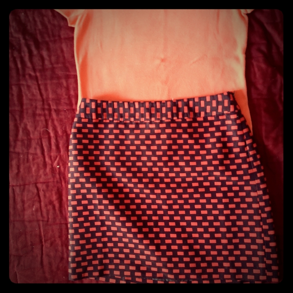Liz Claiborne M Top and Ann Taylor 6 Lined Skirt